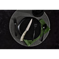 Elite Set of 4 Steak Knives - Cream